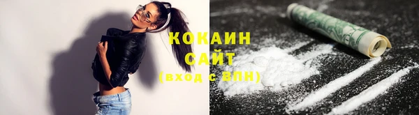 индика Армянск