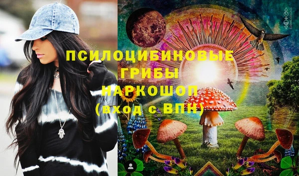 spice Няндома