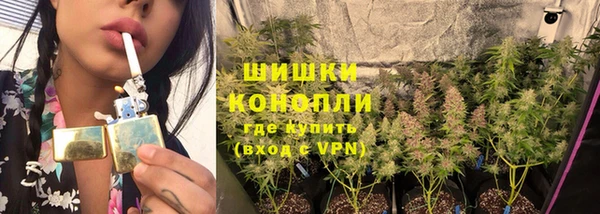ПСИЛОЦИБИНОВЫЕ ГРИБЫ Новокубанск