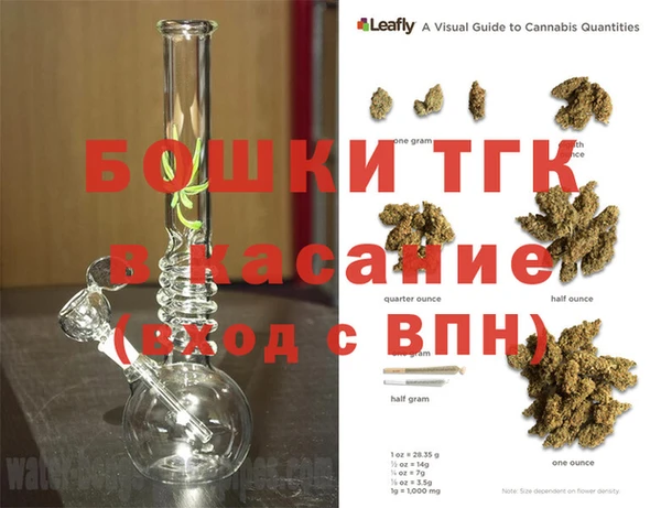 индика Армянск